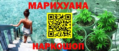ПСИЛОЦИБИНОВЫЕ ГРИБЫ Нальчик