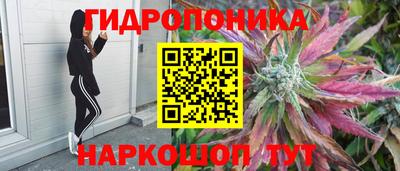 ПСИЛОЦИБИНОВЫЕ ГРИБЫ Нальчик