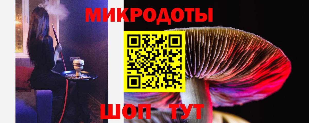 Тайшет  Псилоцибиновые грибы Magic Shrooms  что такое наркотик  Вход с VPN 